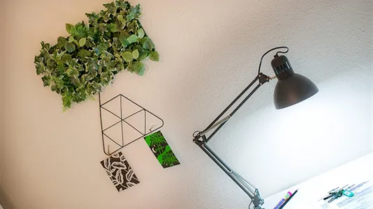 Rooms in Bilbao - photo 5