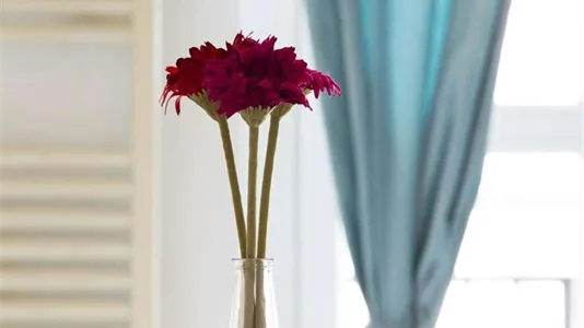 Rooms in Milano Zona 9 - Porta Garibaldi, Niguarda - photo 8