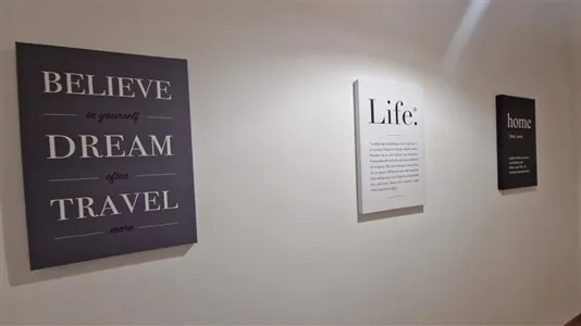 Rooms in Roma Municipio VIII – Appia Antica - photo 8