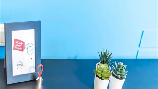 Rooms in Padua - photo 4