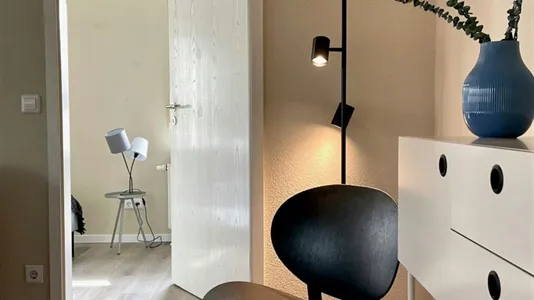 Apartments in Dresden - photo 4