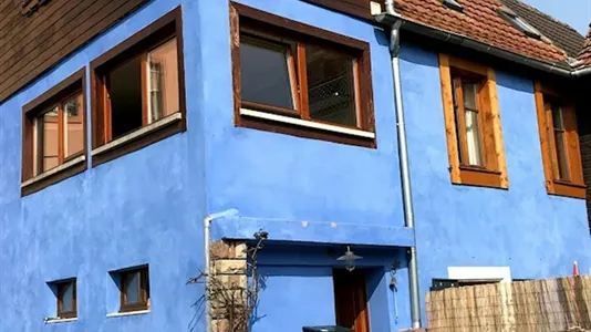 Houses in Sélestat-Erstein - photo 7