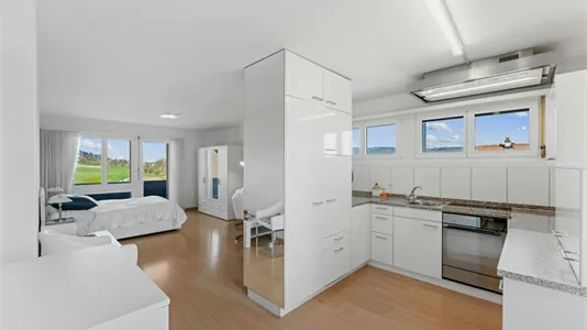 Apartments in Dielsdorf - photo 10