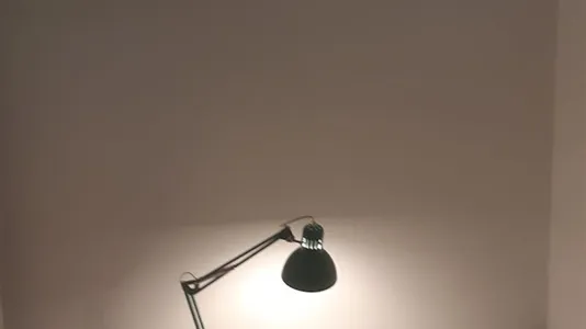 Rooms in Padua - photo 7