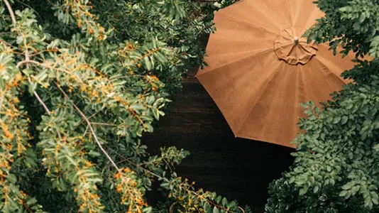 Rooms in Offenbach - photo 9