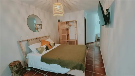 Apartments in Alter do Chão - photo 3