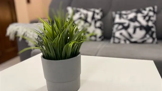 Apartments in Madrid Arganzuela - photo 7