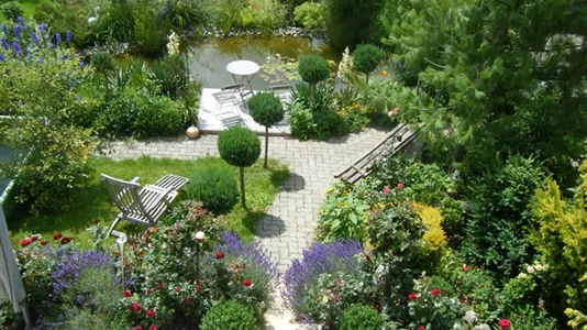 Rooms in Bodenseekreis - photo 10