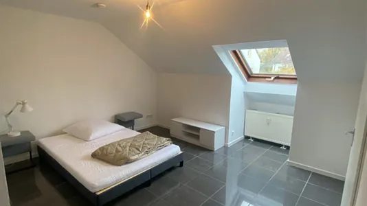 Apartments in Würzburg (Disrict) - photo 5