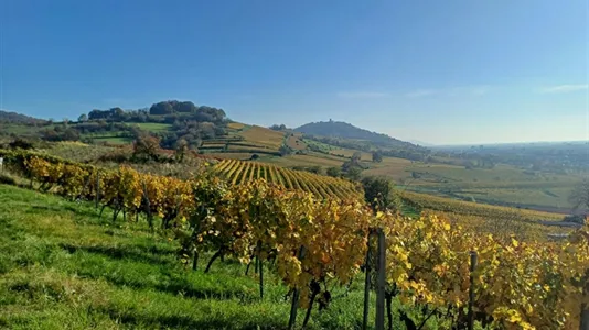Apartments in Bergstraße - photo 10
