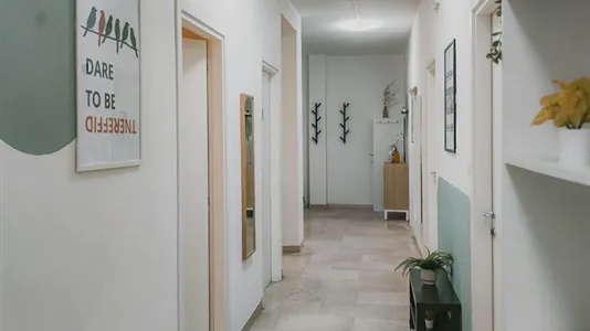 Rooms in Bologna - photo 4