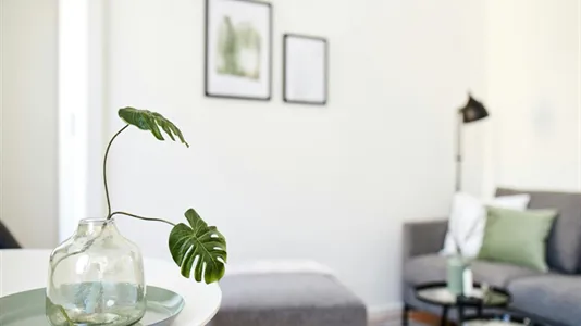 Apartments in Dusseldorf - photo 5