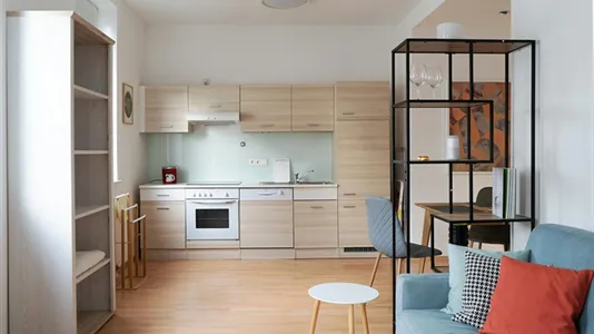 Apartments in Perchtoldsdorf - photo 6