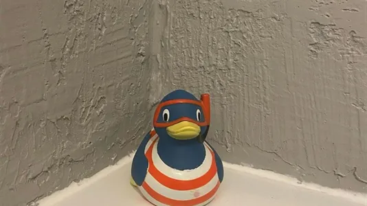 Apartments in Cologne Lindenthal - photo 4