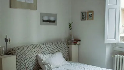 Room for rent in Florence, Toscana