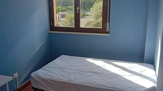 Rooms in Roma Municipio XI – Arvalia/Portuense - photo 3