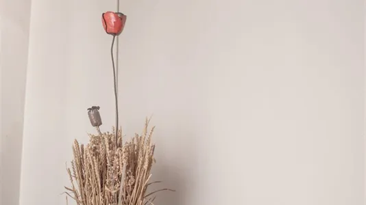 Houses in Bologna - photo 9