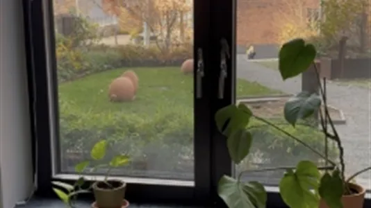 Apartments in Nacka - photo 4