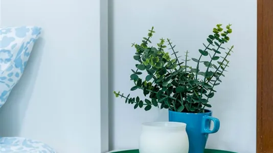 Rooms in Turin - photo 5