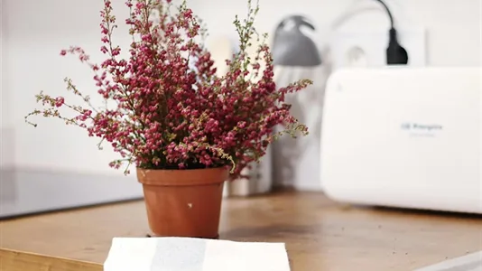 Rooms in Barcelona Sants-Montjuïc - photo 6