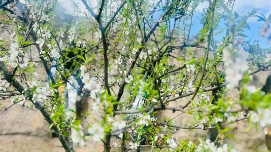 Rooms in Roma Municipio V – Prenestino/Centocelle - photo 8