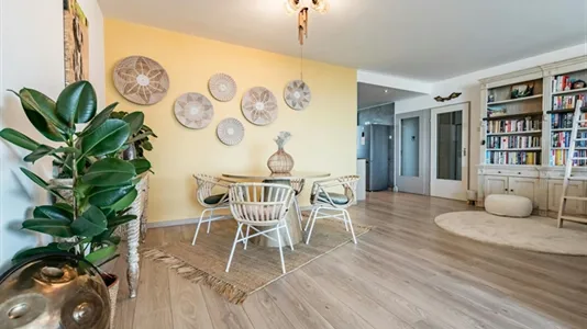 Apartments in Zandvoort - photo 10