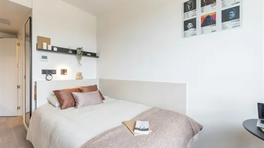 Apartments in Las Higueras - photo 4