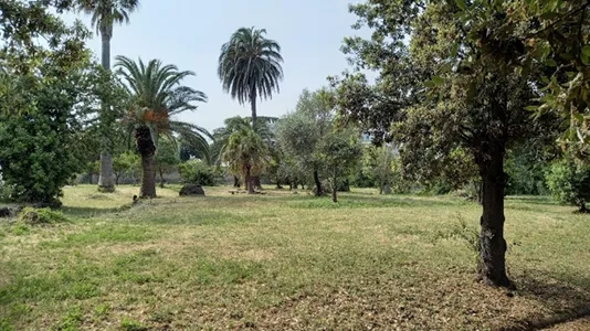 Apartments in Portici - photo 10