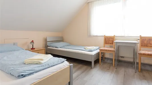 Houses in Vienna Donaustadt - photo 5