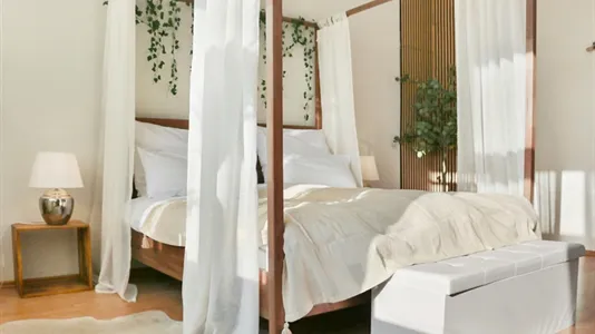 Apartments in Braunschweig - photo 7