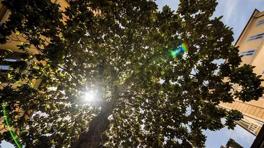 Rooms in Siena - photo 6