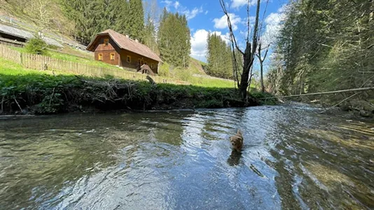 Houses in Deutsch-Griffen - photo 3