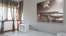 Room for rent, Roma Municipio VII – Appio-Latino/Tuscolano/Cinecittà, Rome, Via Nocera Umbra