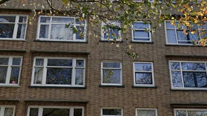 Room for rent in Rotterdam