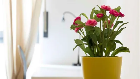 Rooms in Milano Zona 2 - Stazione Centrale, Gorla, Turro, Greco, Crescenzago - photo 9