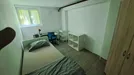 Room for rent, Besnica, Osrednjeslovenska, Triglavska ulica