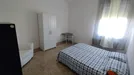 Room for rent, Treviso, Veneto, Via Giuseppe Bernardino Bison