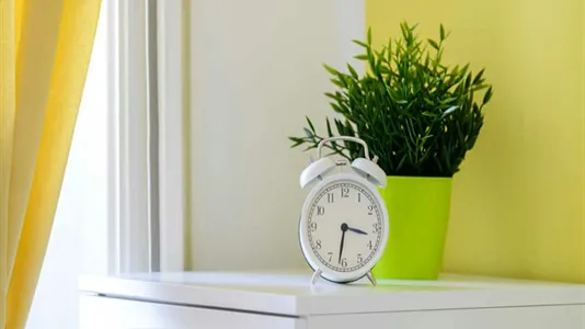 Rooms in Milano Zona 4 - Vittoria, Forlanini - photo 6