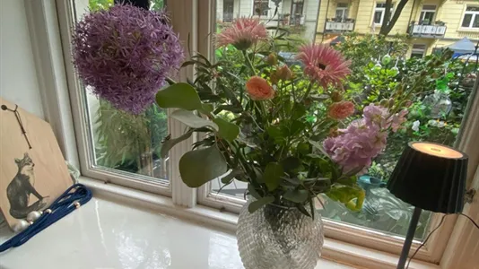 Apartments in Hamburg Eimsbuttel - photo 6