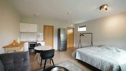 Apartments in Reykjavík Hlíðar - photo 6