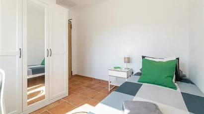 Room for rent in Cerdanyola del Vallès, Cataluña