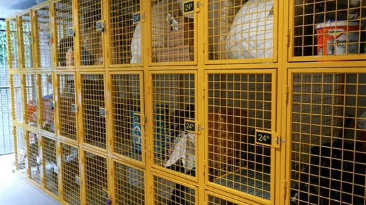 Apartments in Delft - photo 9