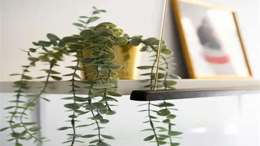 Rooms in Madrid Centro - photo 2