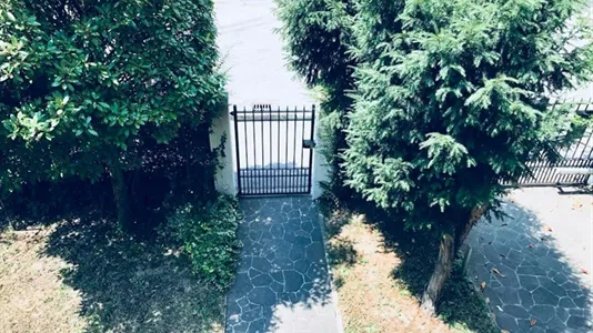 Rooms in Venice - photo 6