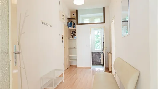 Rooms in Vienna Josefstadt - photo 5