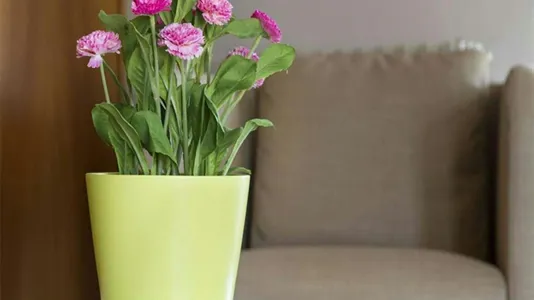 Rooms in Milano Zona 9 - Porta Garibaldi, Niguarda - photo 7