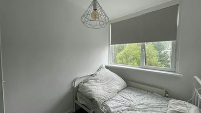 Room for rent in Amsterdam