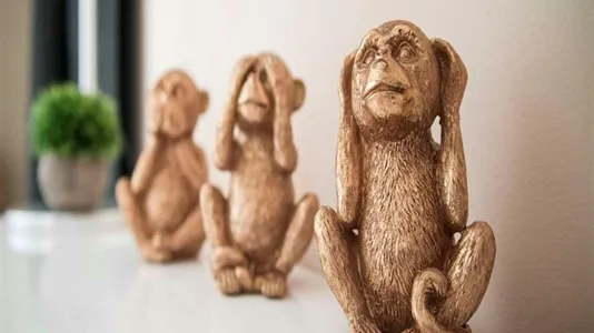 Rooms in Milano Zona 2 - Stazione Centrale, Gorla, Turro, Greco, Crescenzago - photo 9