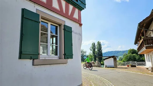 Apartments in Waldshut - photo 7