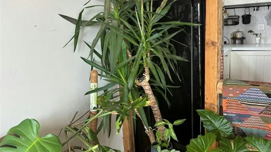 Apartments in Location is not specified - photo 6